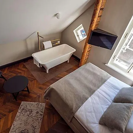 Hotel Boutique Rosenplaenter 2*