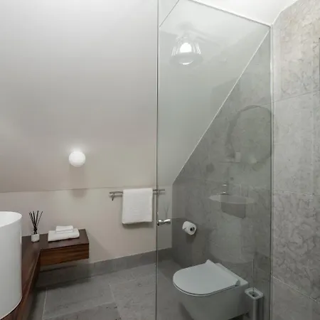 Hotel Boutique Rosenplaenter 2*