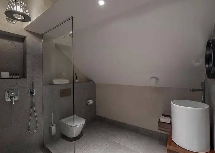 호텔 Boutique Rosenplaenter 2*