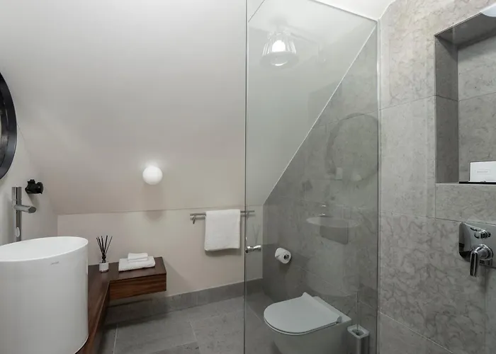 Hotel Boutique Rosenplaenter 2*