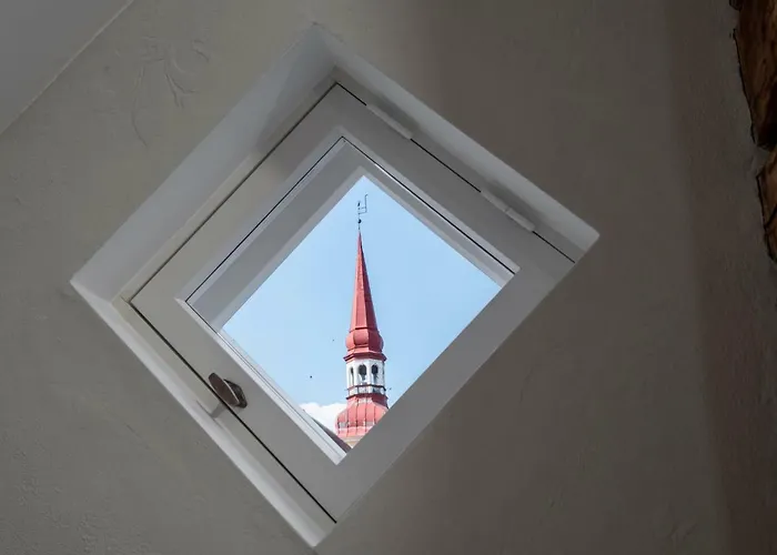 Boutique Rosenplaenter 페르누